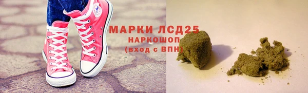 прущий лед Новозыбков