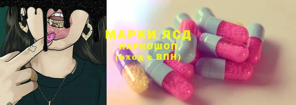 прущий лед Новозыбков
