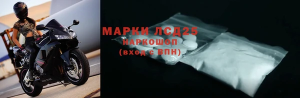 прущий лед Новозыбков