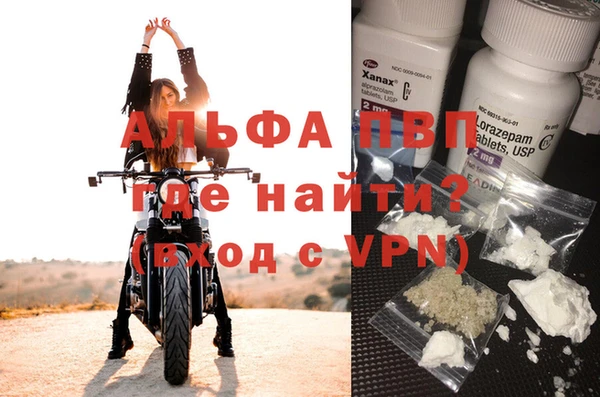 эйфоретик Новодвинск