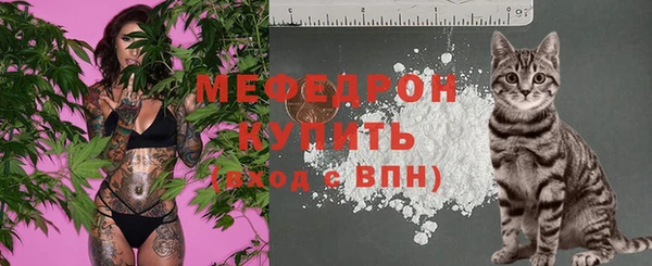 прущий лед Новозыбков