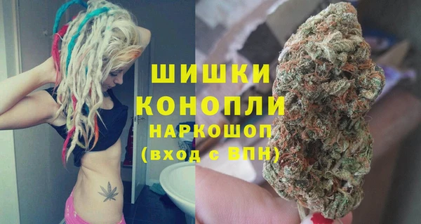прущий лед Новозыбков