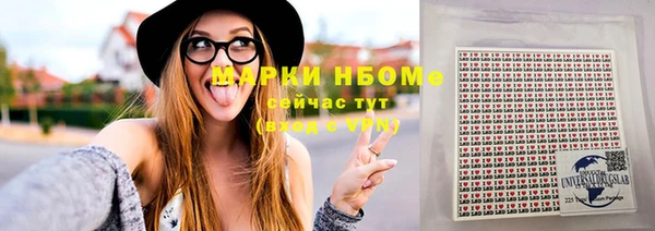 прущий лед Новозыбков