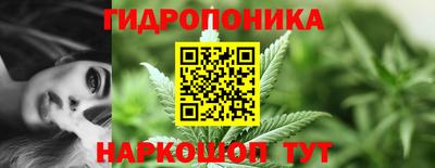 дурь Гагарин