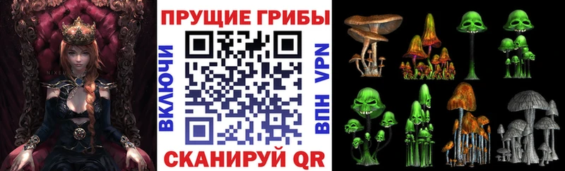 Галлюциногенные грибы Psilocybe  MEGA маркетплейс  Алексин 