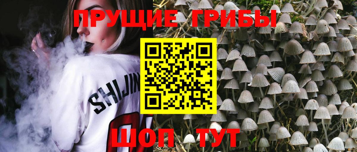 Алексин  Галлюциногенные грибы ЛСД  Псилоцибиновые грибы ЛСД  Вход с VPN 