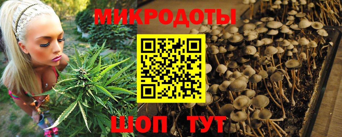 Псилоцибиновые грибы Magic Shrooms  Алексин 