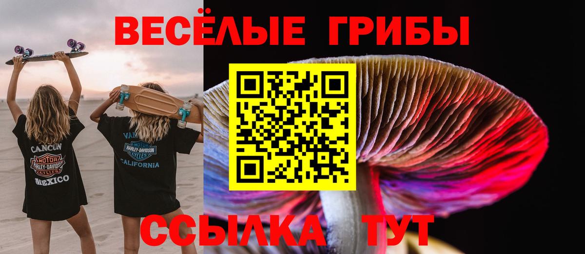 Галлюциногенные грибы Psilocybe  Вход с VPN  цены   Алексин  Галлюциногенные грибы прущие грибы 